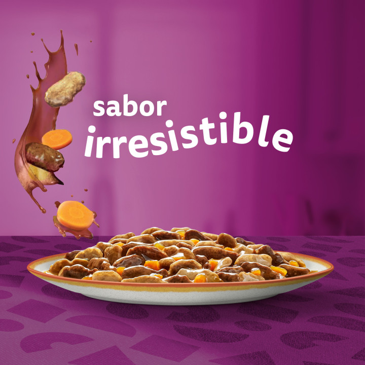 Whiskas Tasty Mix Comida Húmeda para Gatos Adultos Colección Country en Salsa 
