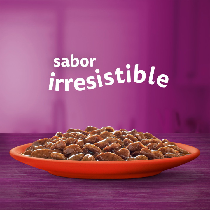 Whiskas Comida Húmeda para Gatos Adultos Selección Clásicos en Salsa Multipack