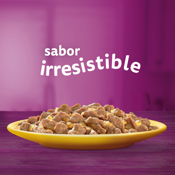 Whiskas Comida Húmeda para Gatos Adultos Selección Aves en Gelatina Multipack 