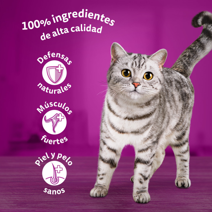 Whiskas Comida Húmeda para Gatos Adultos Selección Aves en Gelatina Multipack 