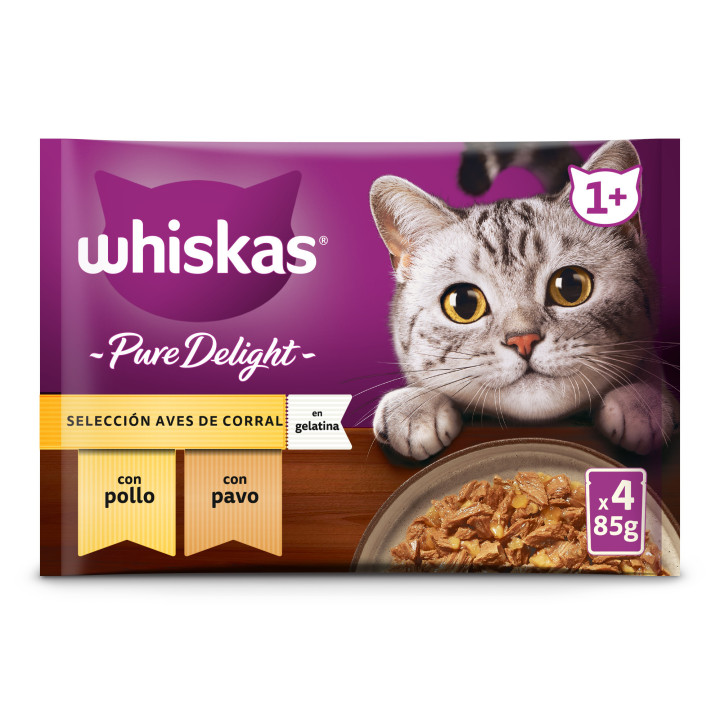 Whiskas Comida Húmeda en gelatina para Gatos Adultos Selección Aves 