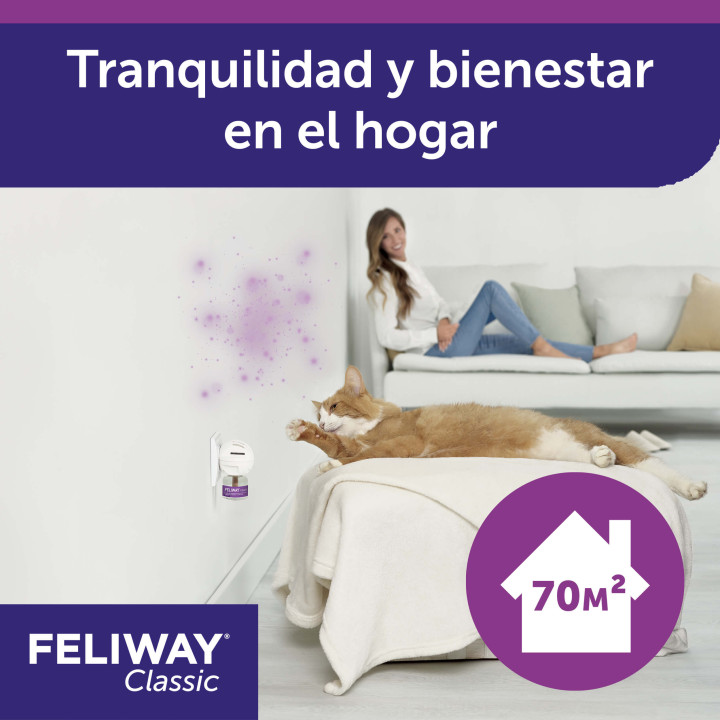 Feliway Classic, Salud para gatos - Kompymascotas