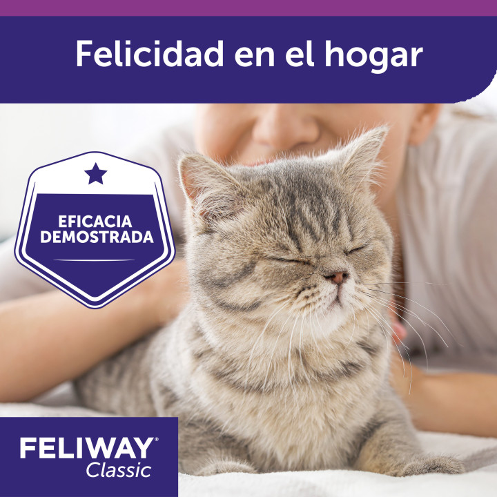 Feliway Classic, Salud para gatos - Kompymascotas