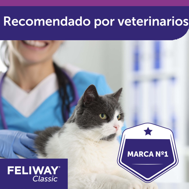 Feliway Classic, Salud para gatos - Kompymascotas