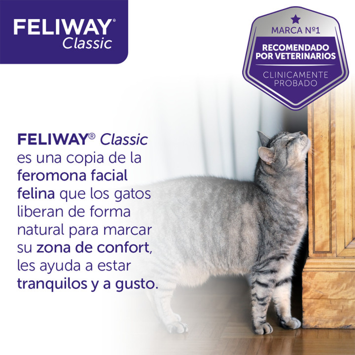 Feliway Classic, Salud para gatos - Kompymascotas