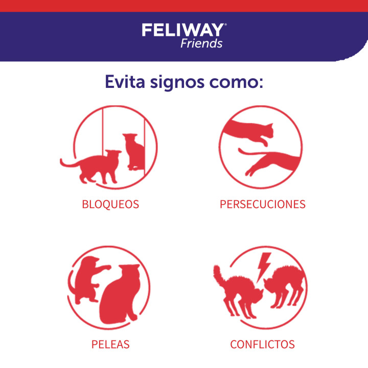 Feliway Friends, Salud para gatos - Kompymascotas