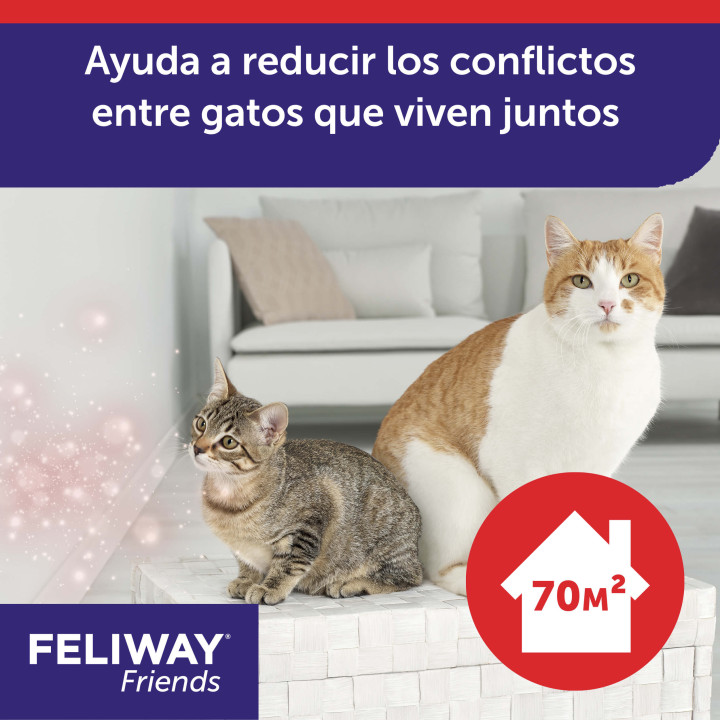 Feliway Friends, Salud para gatos - Kompymascotas
