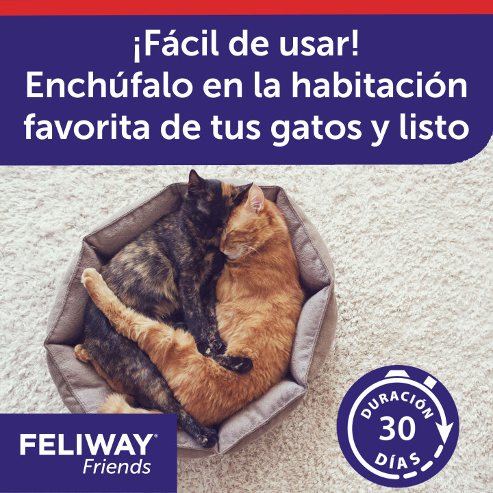 Feliway Friends, Salud para gatos - Kompymascotas