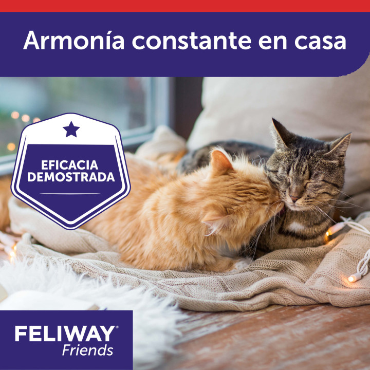 Feliway Friends, Salud para gatos - Kompymascotas