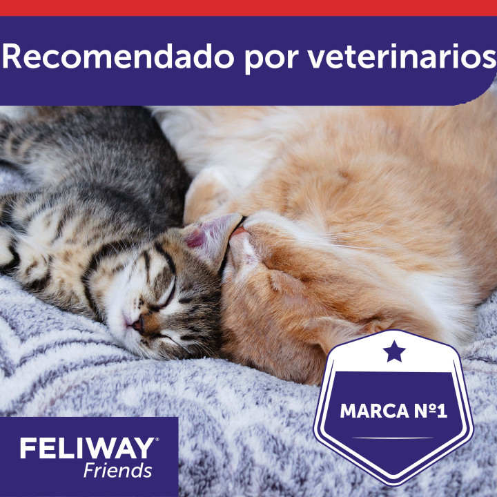 Feliway Friends, Salud para gatos - Kompymascotas