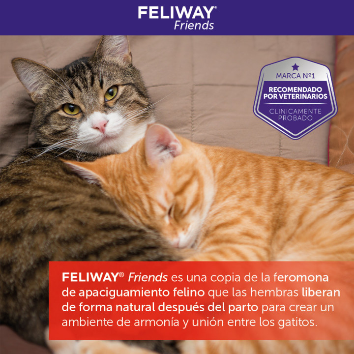 Feliway Friends, Salud para gatos - Kompymascotas