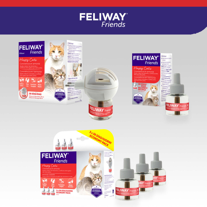 Feliway Friends, Salud para gatos - Kompymascotas