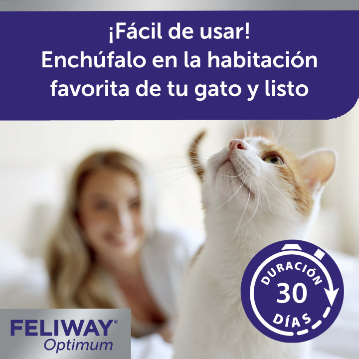 Feliway Optimum