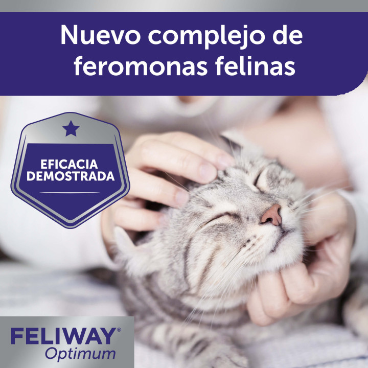Feliway Optimum