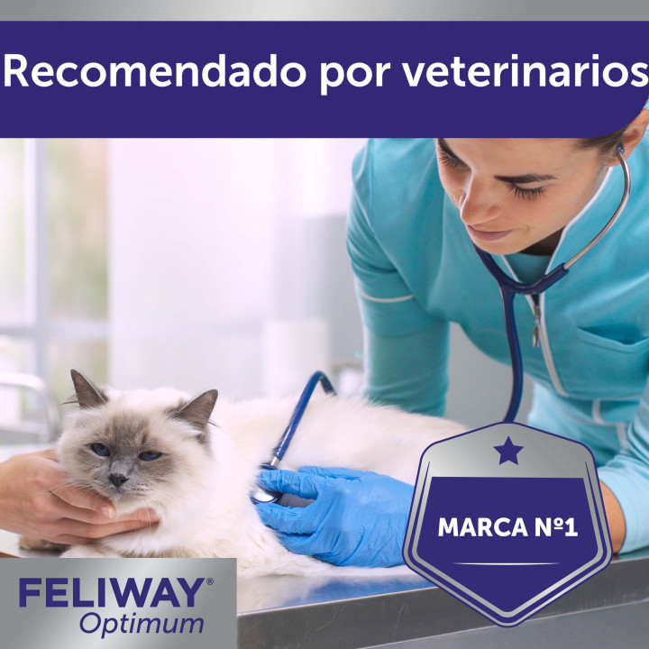 Feliway Optimum
