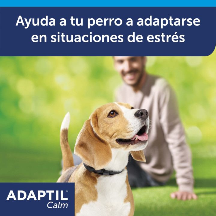 Adaptil ceva collar