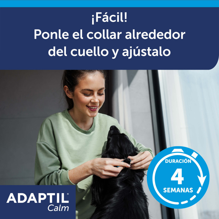 Adaptil ceva collar