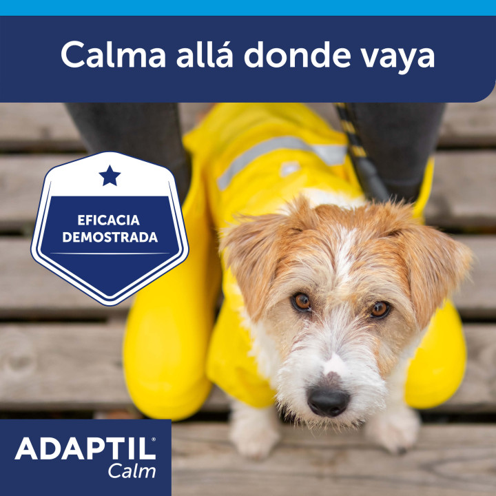 Adaptil ceva collar