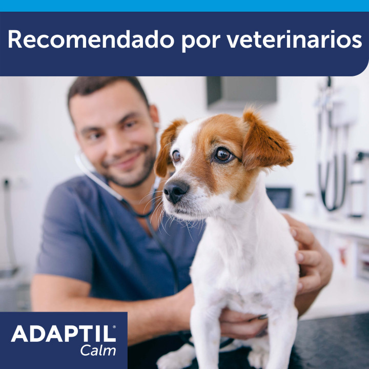 Adaptil ceva collar