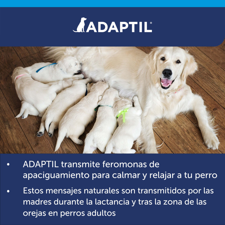 Adaptil ceva collar