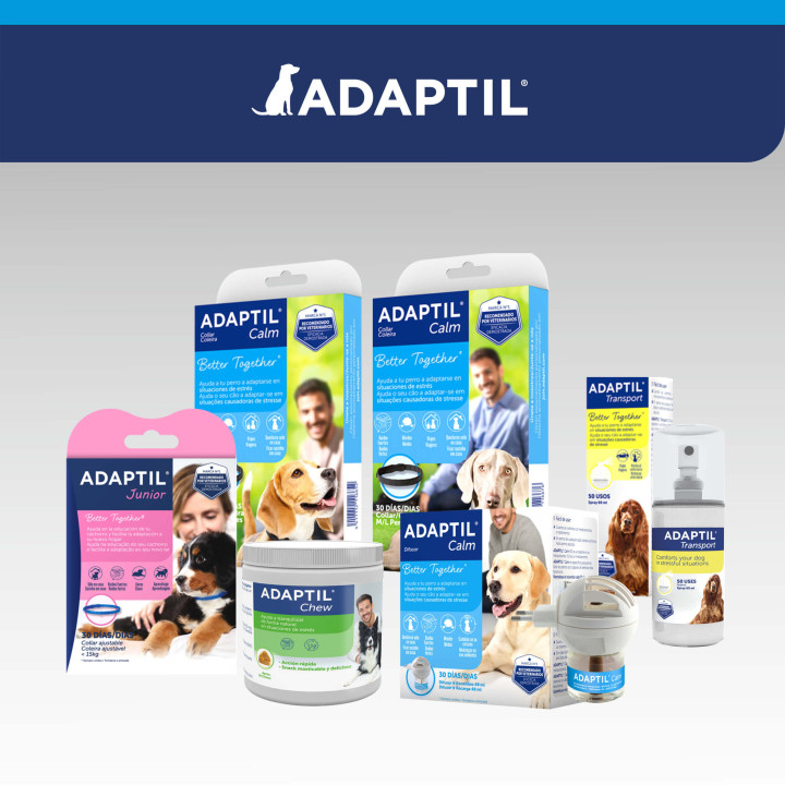 Adaptil ceva collar