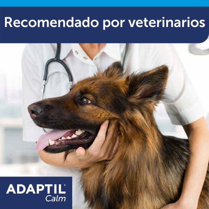 Adaptil, Complementos para perros - Kompymascotas