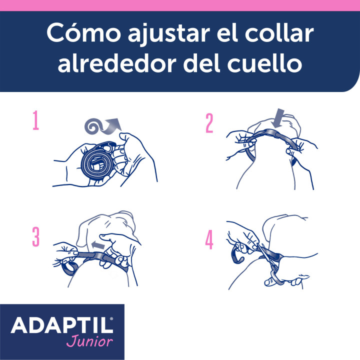 Ayuda a tu perro a sentirse seguro y protegido en todo momento