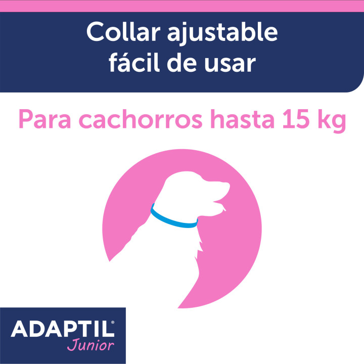 Ayuda a tu perro a sentirse seguro y protegido en todo momento