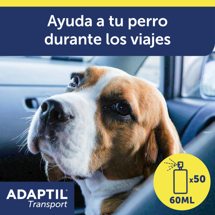 Ayuda a que viajar con tu perro sea una experiencia feliz para ambo