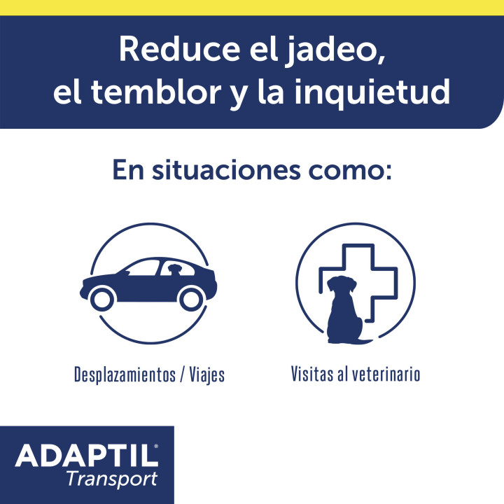 Ayuda a que viajar con tu perro sea una experiencia feliz para ambo