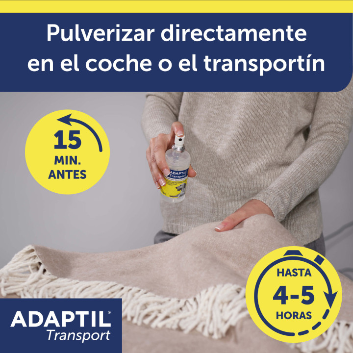 Ayuda a que viajar con tu perro sea una experiencia feliz para ambo