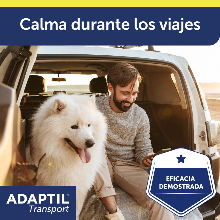 Ayuda a que viajar con tu perro sea una experiencia feliz para ambo