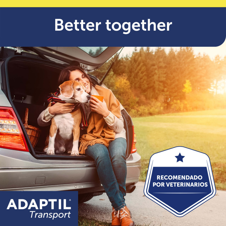Ayuda a que viajar con tu perro sea una experiencia feliz para ambo