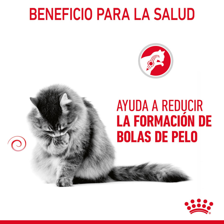 Royal Canin Intense Hairball 34 Pienso para gatos - Kompymascotas