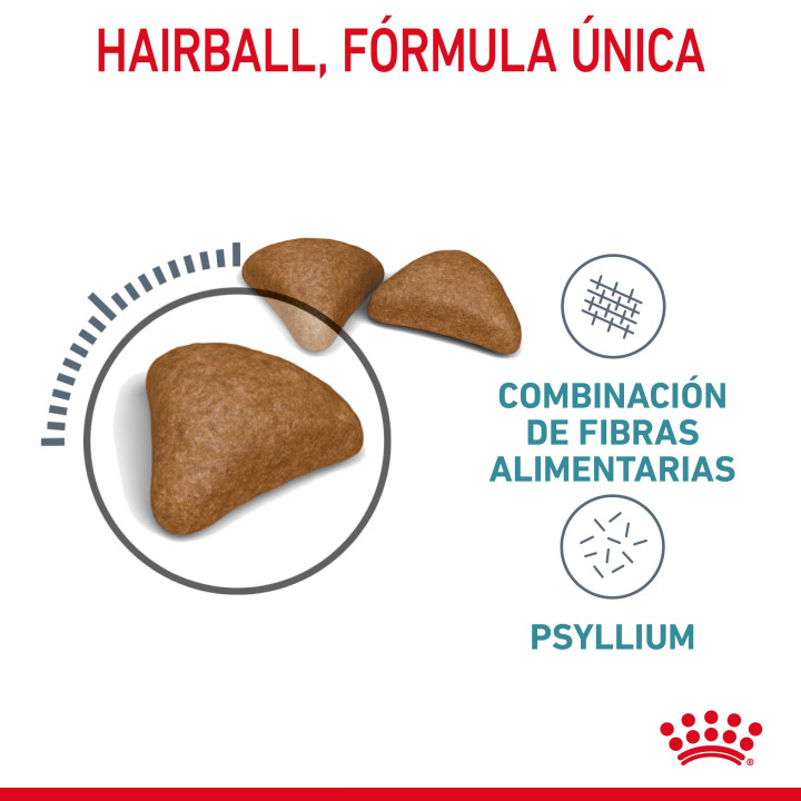 Royal Canin Intense Hairball 34 Pienso para gatos - Kompymascotas