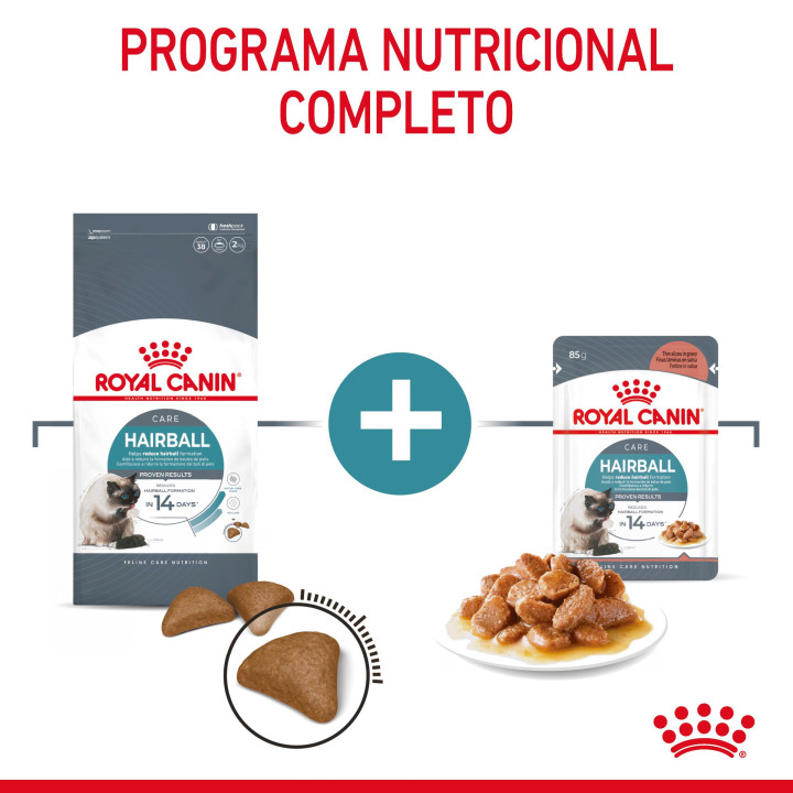 Royal Canin Intense Hairball 34 Pienso para gatos - Kompymascotas
