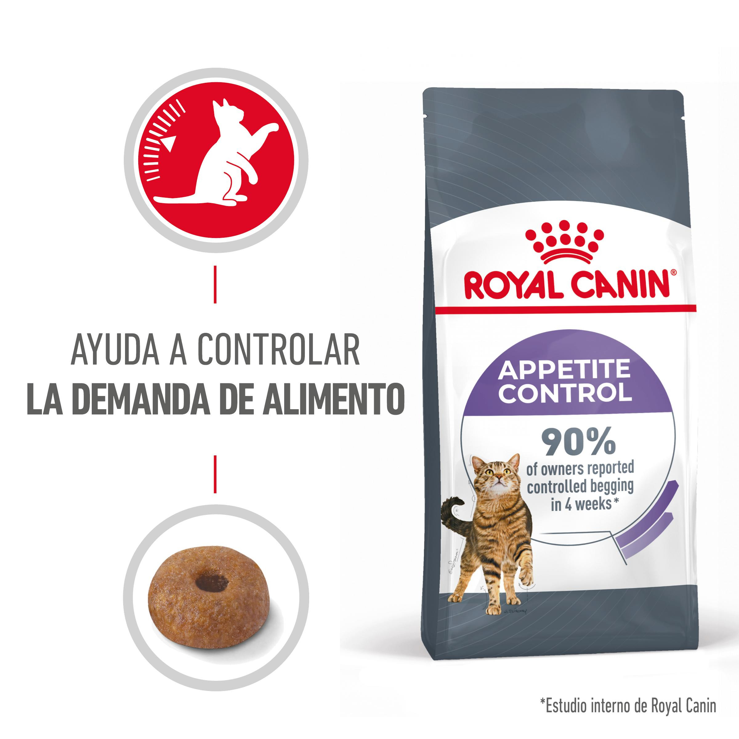 Pienso royal canin gatos
