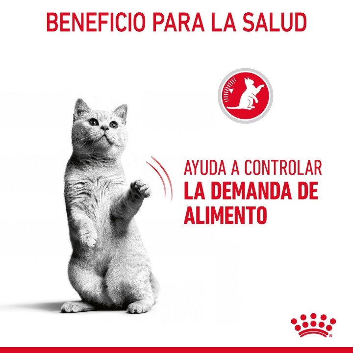 Royal Canin Sterilised Appetite Control, pienso para gatos - Kompymascotas