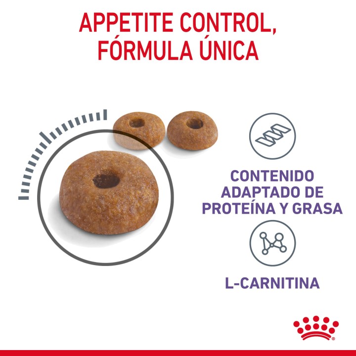 Royal Canin Sterilised Appetite Control, pienso para gatos - Kompymascotas