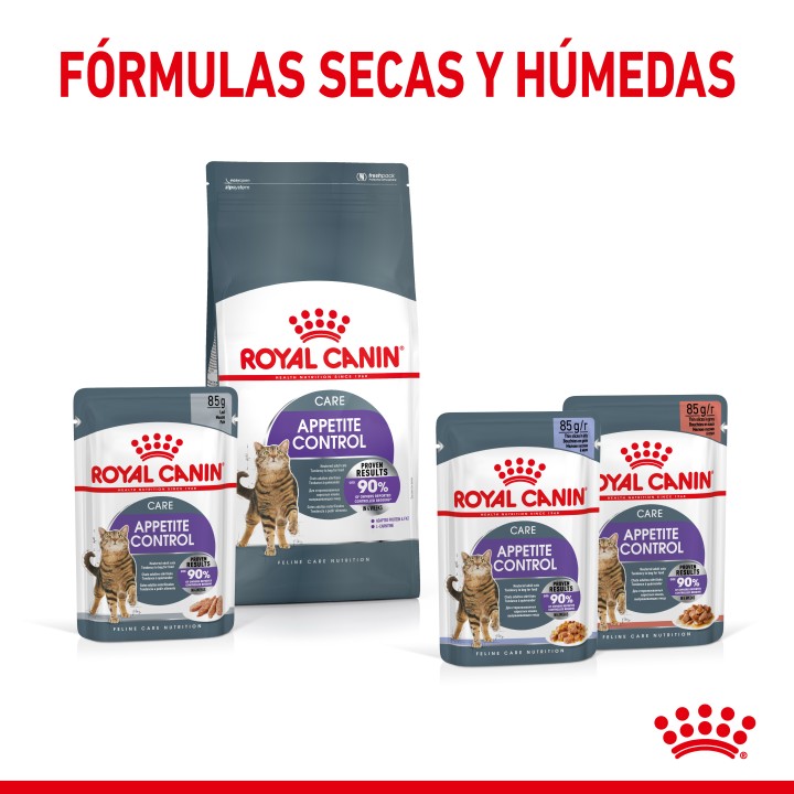 Royal Canin Sterilised Appetite Control, pienso para gatos - Kompymascotas