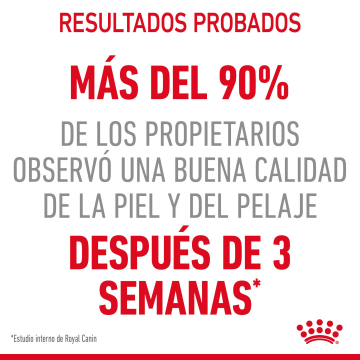 Royal Canin Hair & Skin 33 Pienso para gatos - Kompymascotas