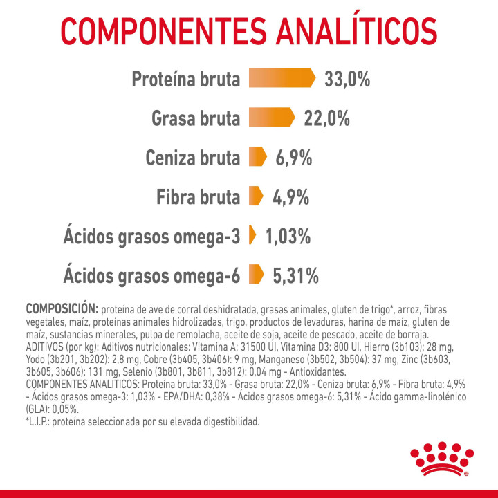 Royal Canin Hair & Skin 33 Pienso para gatos - Kompymascotas