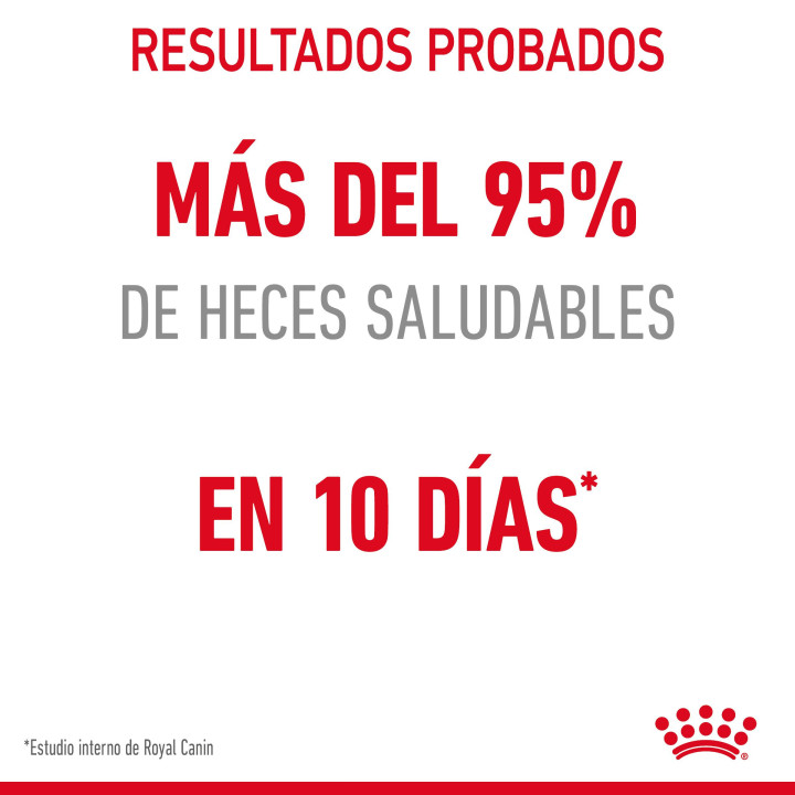 Royal Canin Cat Digestive Comfort 38 Pienso para gatos - Kompymascotas