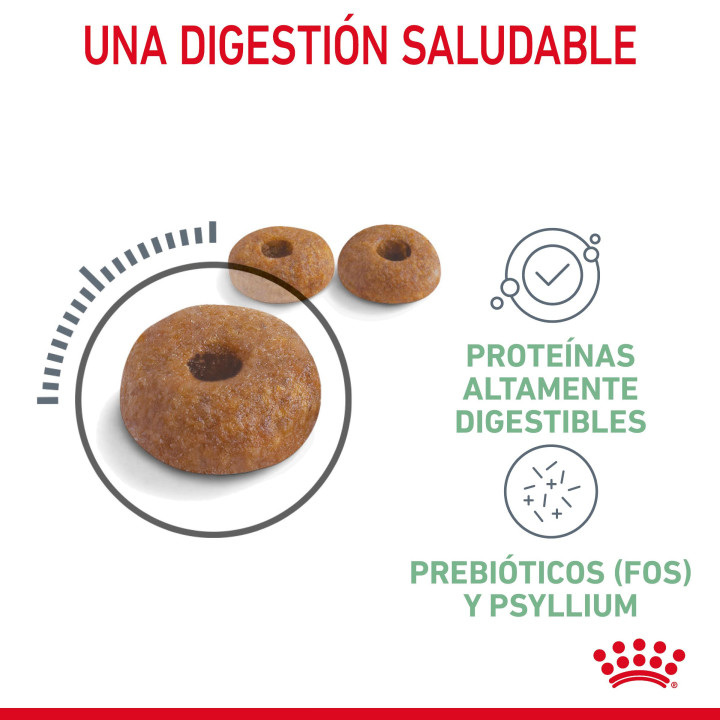 Royal Canin Cat Digestive Comfort 38 Pienso para gatos - Kompymascotas
