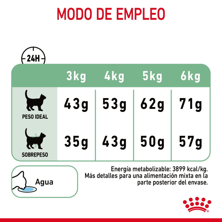 Royal Canin Cat Digestive Comfort 38 Pienso para gatos - Kompymascotas