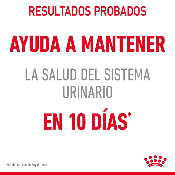 Royal Canin Urinary Care, pienso para gatos - Kompymascotas