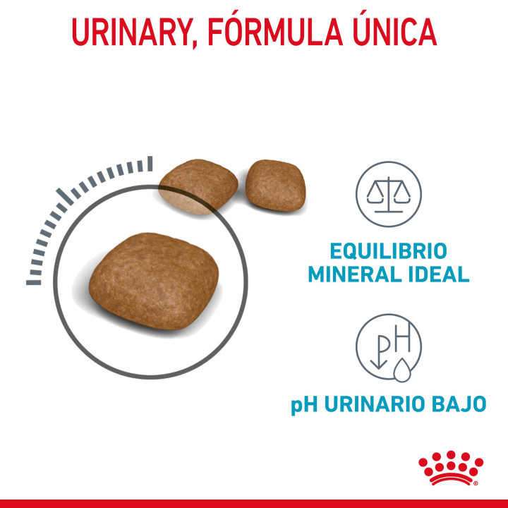Royal Canin Urinary Care, pienso para gatos - Kompymascotas