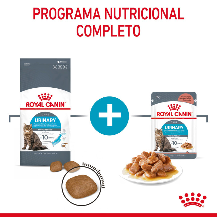 Royal Canin Urinary Care, pienso para gatos - Kompymascotas