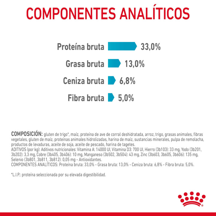 Royal Canin Urinary Care, pienso para gatos - Kompymascotas