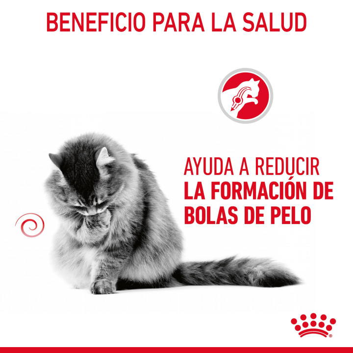 Comida húmeda Royal Canin Hairball Care para gatos - Kompymascotas